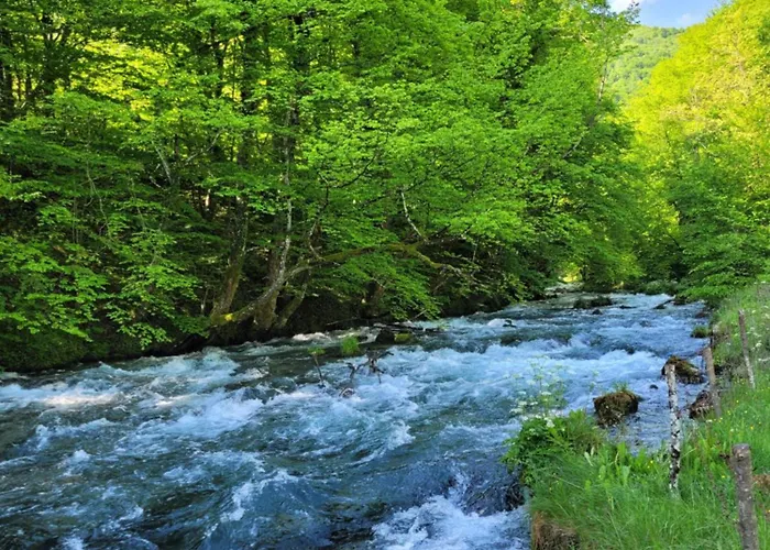 Apartmán Sole Tiny House